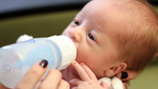 oral feeding small article